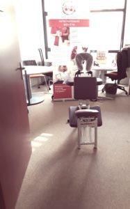 la pause détente au travail à le Mans